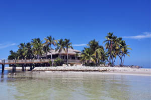 Open FLorida - openfl.com